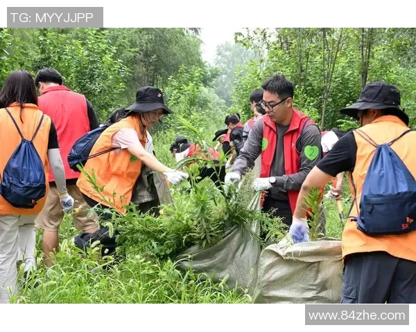 矿工与奥勒克山的较量探秘:资源争夺与生态保护的双重挑战