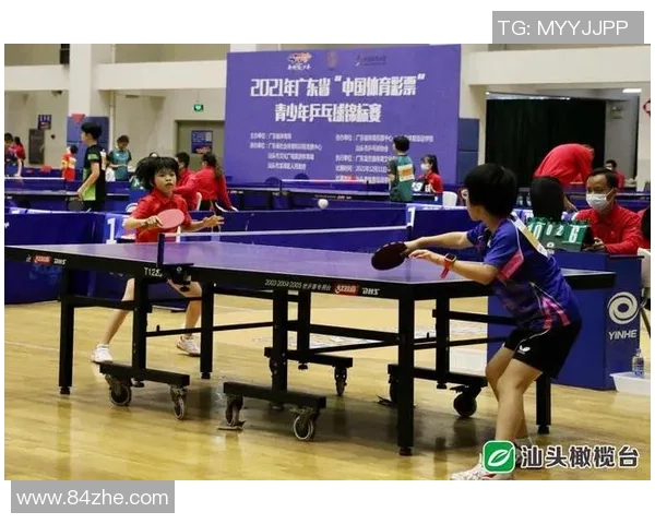 深圳乒乓球队比赛经验分享与成长之路的深入探讨