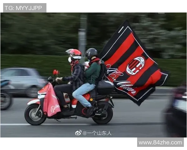 上海排球队的崛起之路：从低谷到巅峰的奋斗与荣耀